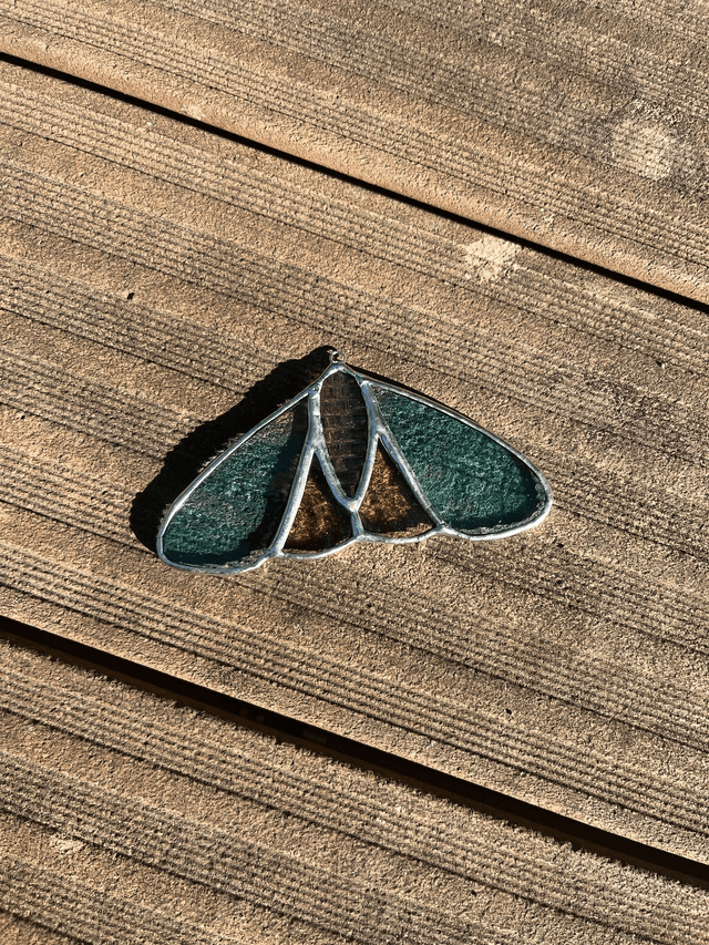 Les papillon de nuit
