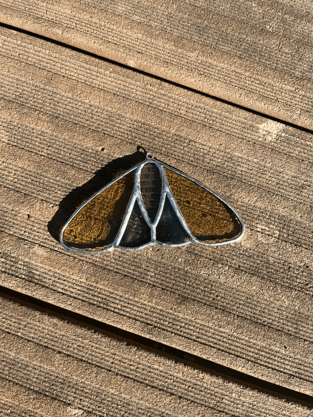 Les papillon de nuit