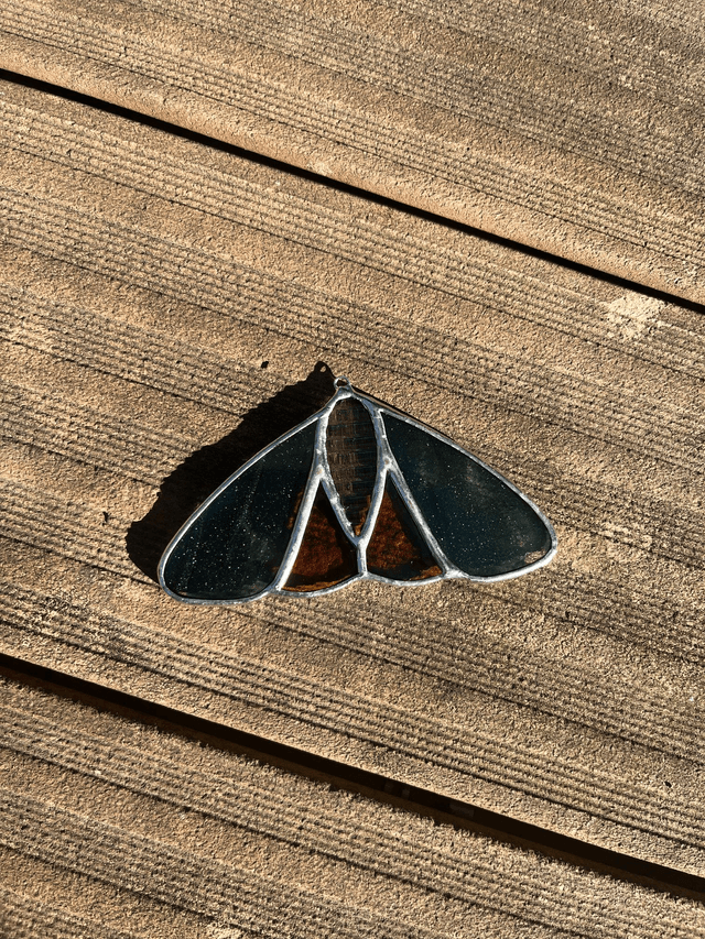 Les papillon de nuit
