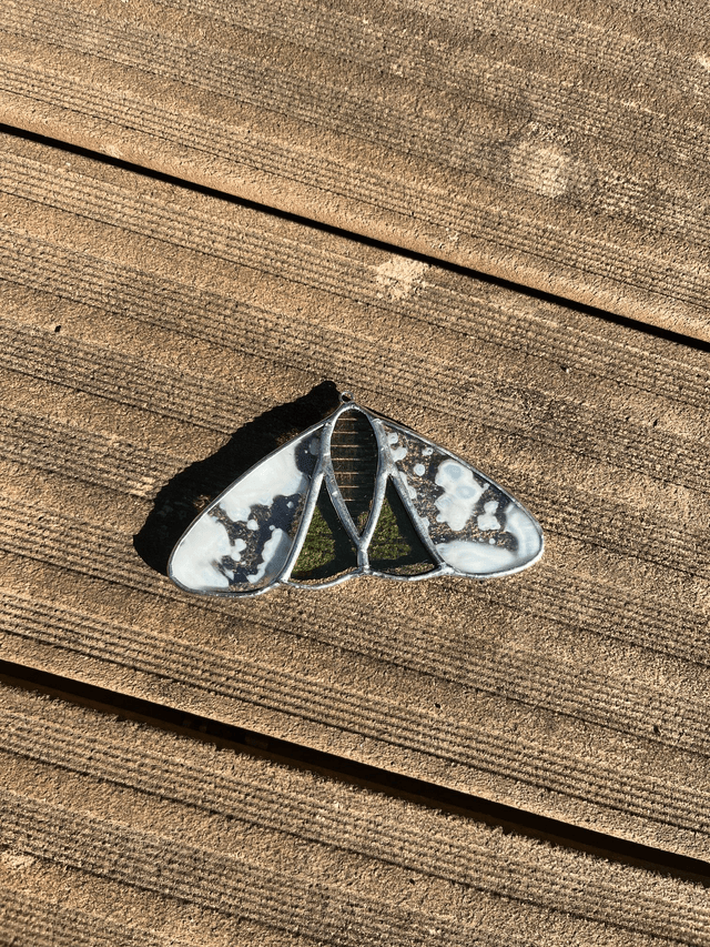 Les papillon de nuit
