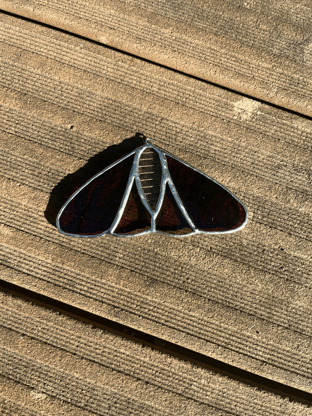 Les papillon de nuit